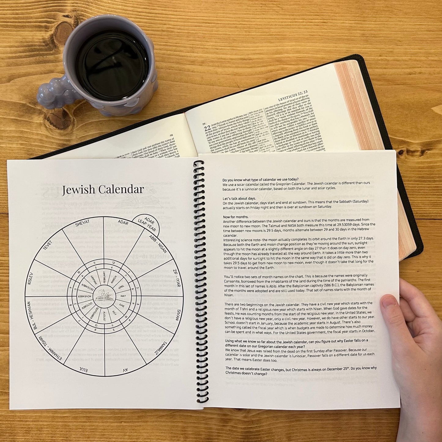 Leviticus Bible Study Discussion Guide