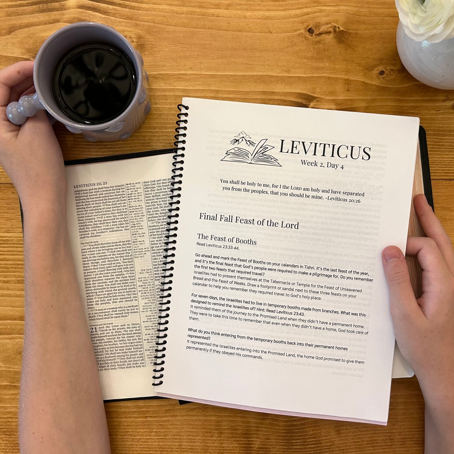 Leviticus Bible Study Discussion Guide