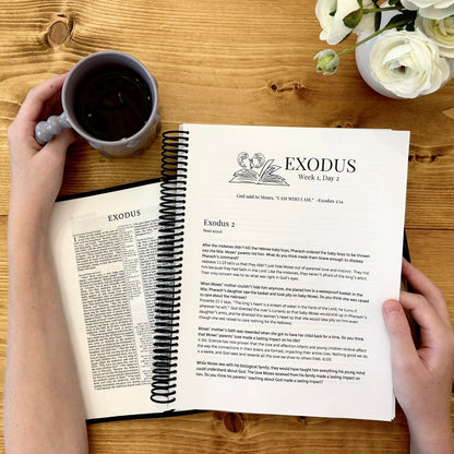 Pentateuch Bible Study Discussion Guide- Bundle & Save!