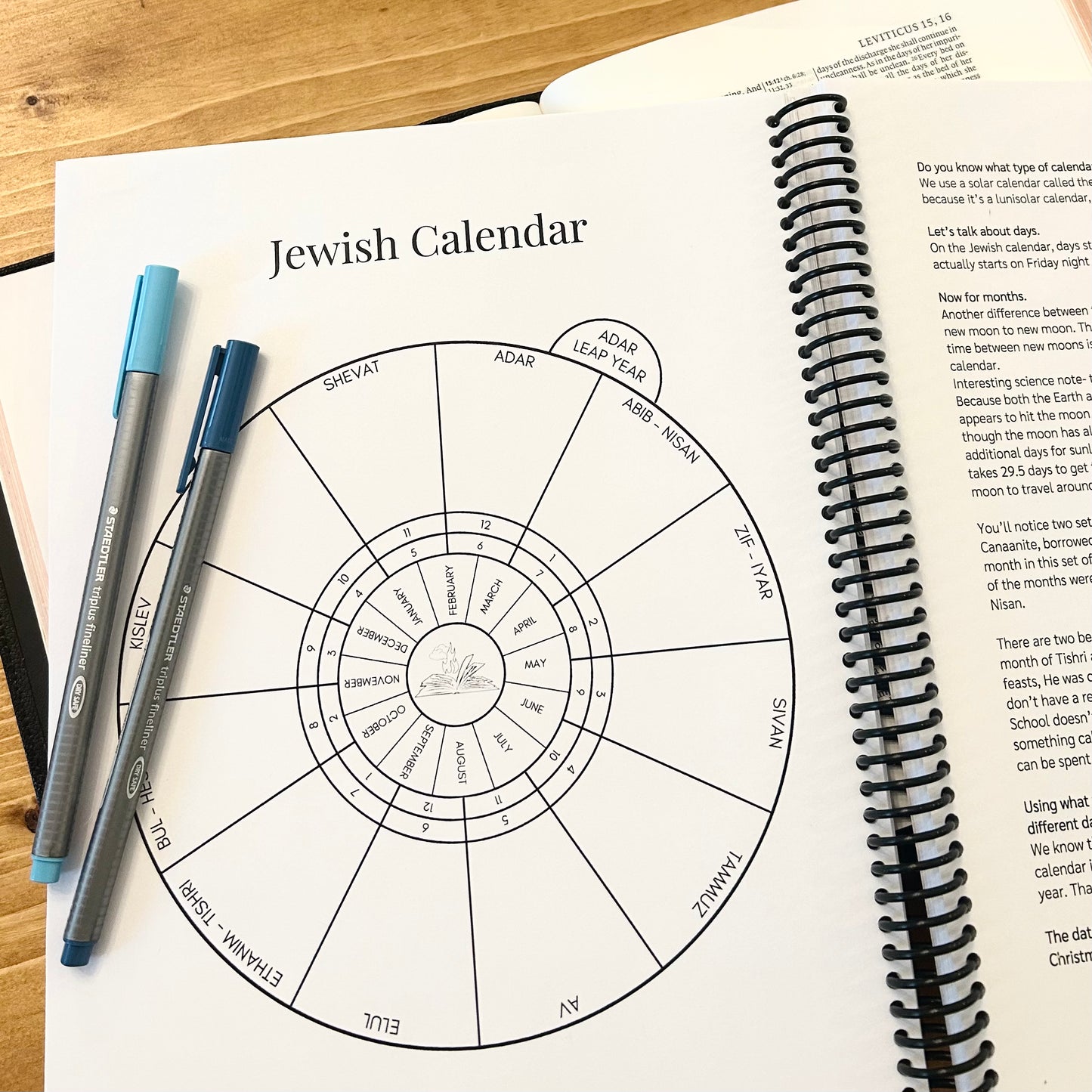 Pentateuch Bible Study Discussion Guide- Bundle & Save!