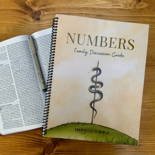 Numbers Bible Study Discussion Guide