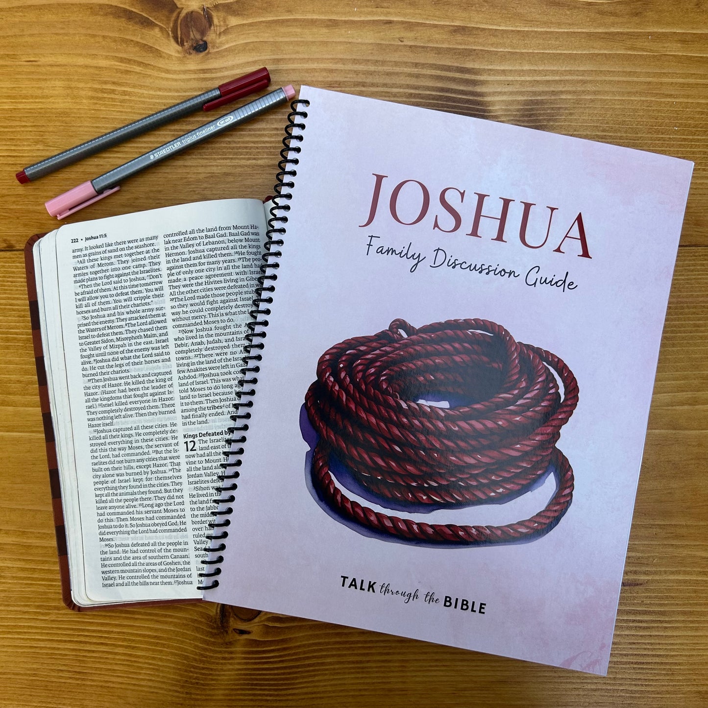 Joshua Bible Study Discussion Guide